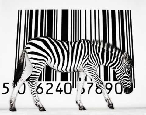 3d barcode image. this zebra/arcode idea in