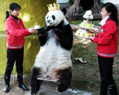 happy-birthday-panda.jpg
