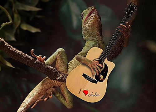 [Image: adam-orzechowski-iguana-guitar.jpg]