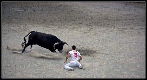 Bull-leapers11 Bull-leapers11