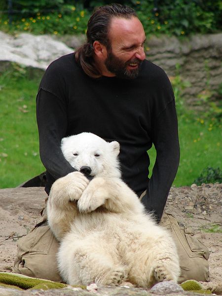 450px-Knut011 450px-Knut011