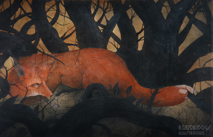 Fox through a Drak wood