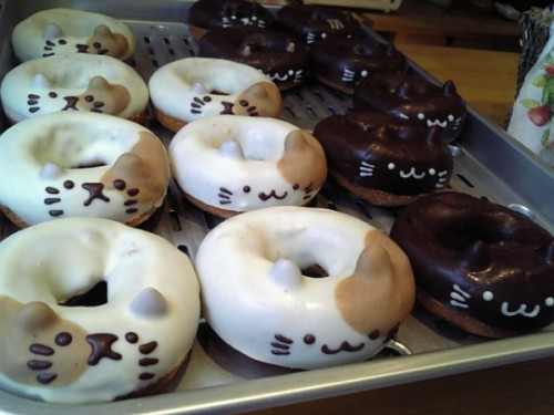donut cat