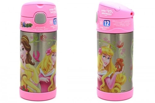 Disney Princesses - Stainless Steel Water Bottle - Neatorama