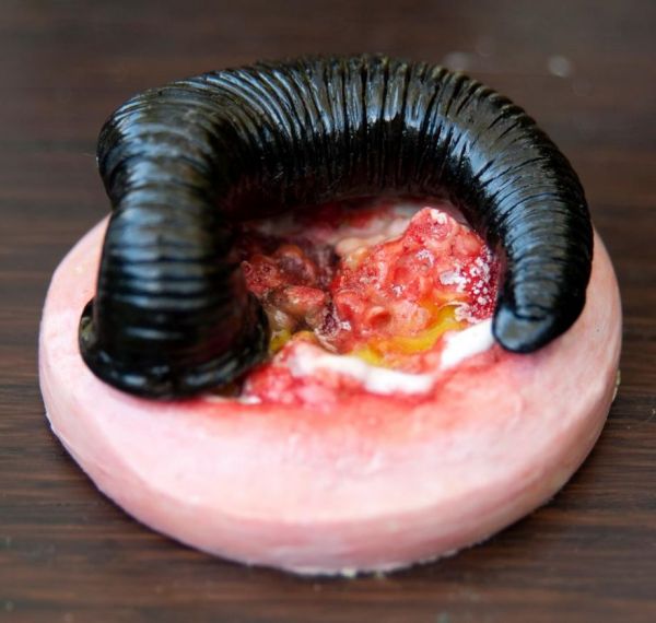 leech