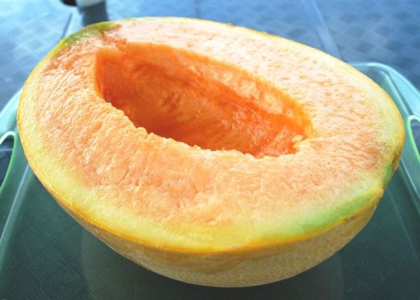 melon