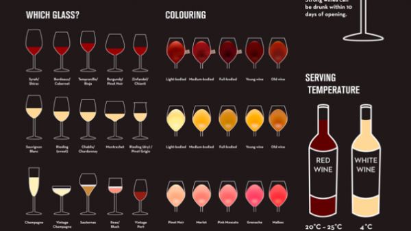 Wine Drinking Temperature Chart