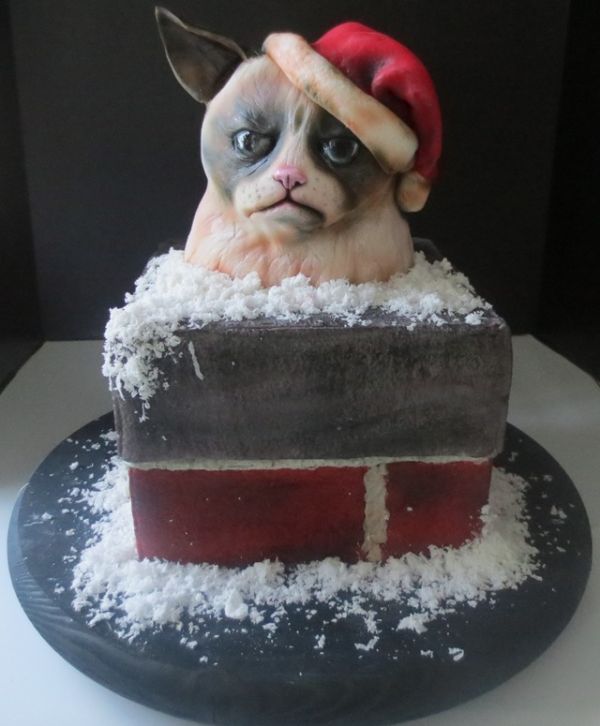 Grumpy Cat