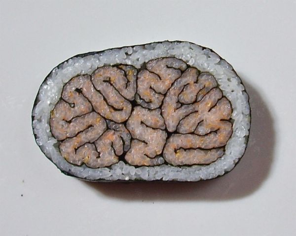 brain